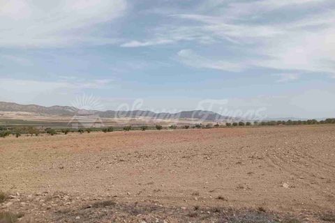 Finca i Yecla, Murcia, Yecla - € 350.000 | Ref: SF0507 - foto 31